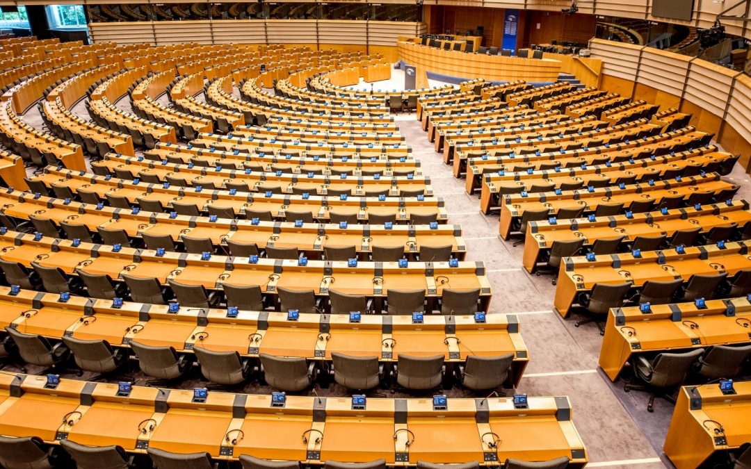 L&rsquo;incroyable stratégie secrète des candidats invisibles aux élections européennes